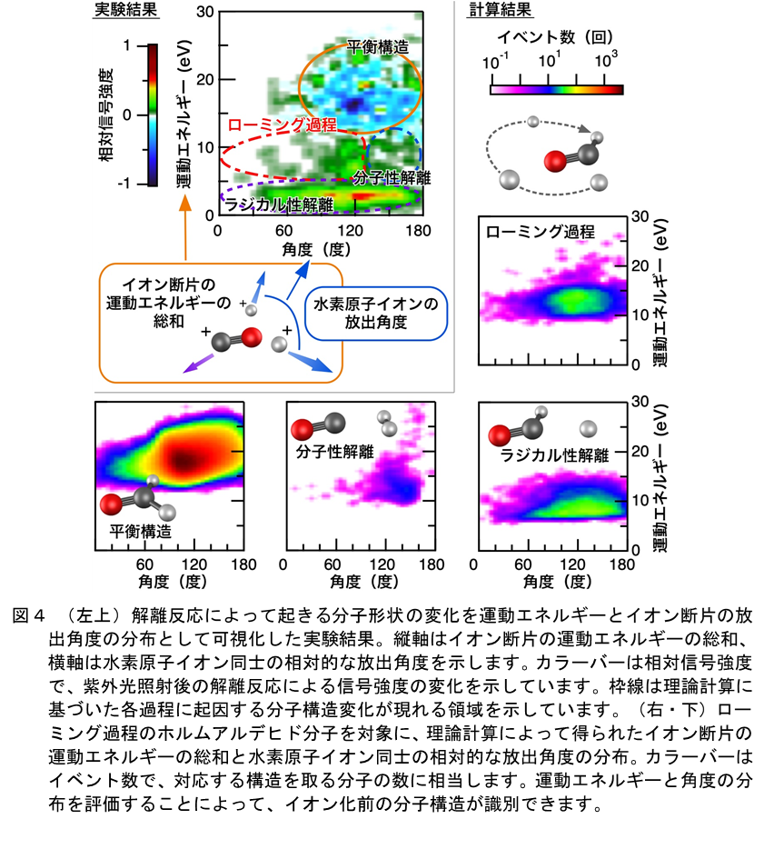 左上）解離反応によって起きる分子形状の変化を運動エネルギーとイオン断片の放出角度の分布として可視化した実験結果