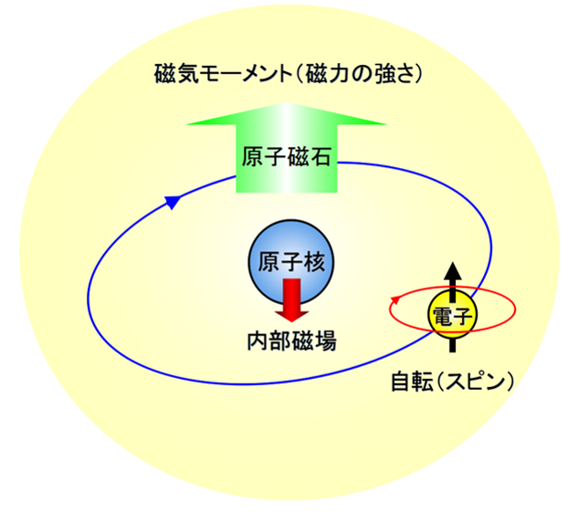 図１．原子磁石の模式図。原子磁石の磁力（磁気モーメント）と原子核位置での内部磁場は、いずれも電子の自転（スピン）により互いに逆向きに生み出されます。本研究では、メスバウアー分光法を用いて原子核位置での内部磁場を計測し、それにより原子磁石の磁性を評価しま