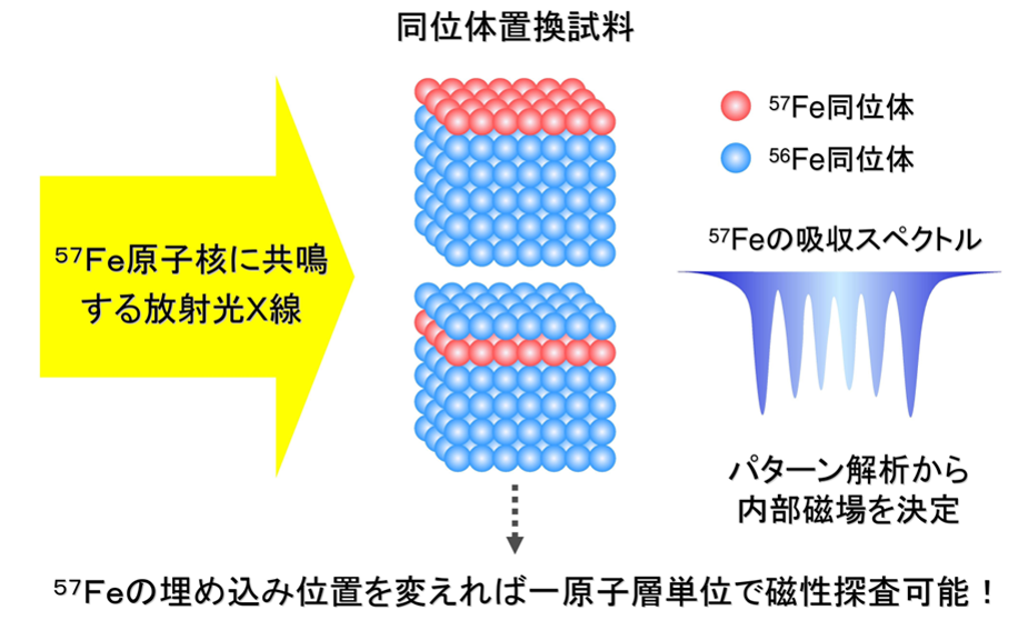 メスバウアー分光法による同位体置換試料を用いた原子層分解磁気構造解析法