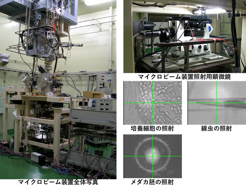 量研高崎量子応用研究所のマイクロビーム装置