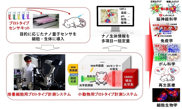 グループA　概要図