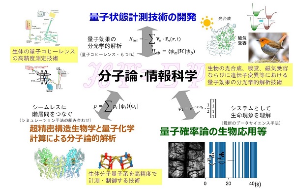 グループC　概要図