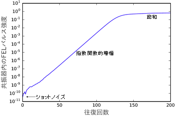 図2：共振器型自由電子レーザにおけるレーザ発振の例（シミュレーション）。FELパルスは指数関数的に増幅し、約150回往復後に飽和強度に到達している。の画像