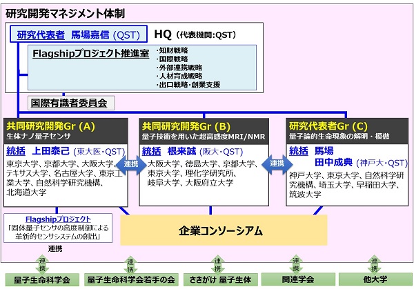 Q-LEAP体制図