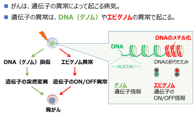図1　がんの発生とゲノム、エピゲノム異常の画像