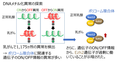 被ばく後に生じた乳がんのDNAメチル化異常の画像