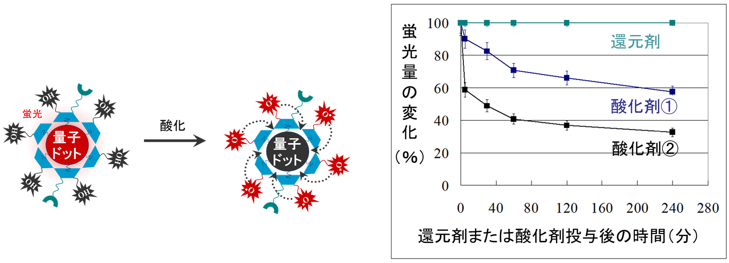 図3. 量子センサーの酸化剤に対する反応