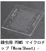 保水性能を有する生物試料用マイクロチップを開発