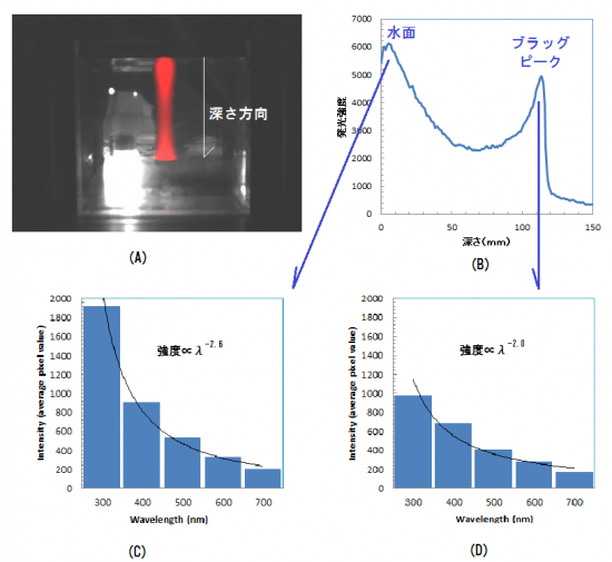 図1　炭素線照射による水の発光スペクトルの測定：水の発光画像(A)、の画像