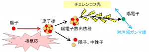 図2　陽電子放出核種の生成機構と反応の模式図の画像