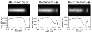 図3　測定したチェレンコフ光とその1次元分布の時間発展の画像