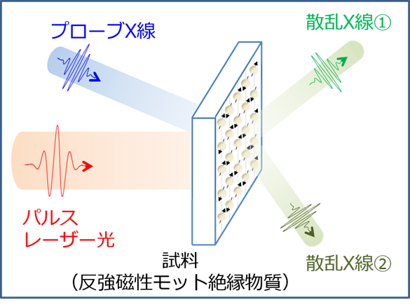 本研究でシミュレーションを行った計測の模式図