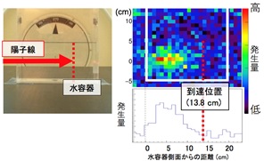 実験に用いた水ファントムとピンホール型ガンマカメラによるイメージング結果