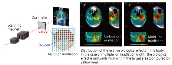 Multi-ion irradiation system