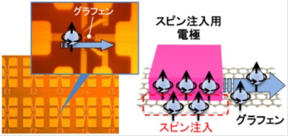 スピンを用いた演算素子のイメージ図