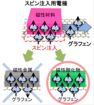 グラフェンに磁性金属と磁性酸化物を接合したときのスピンの違いの説明図