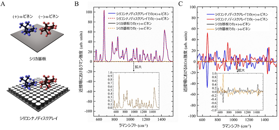 キラル分子を用いた全誘電体のキラル場増強ROA分光法の実証