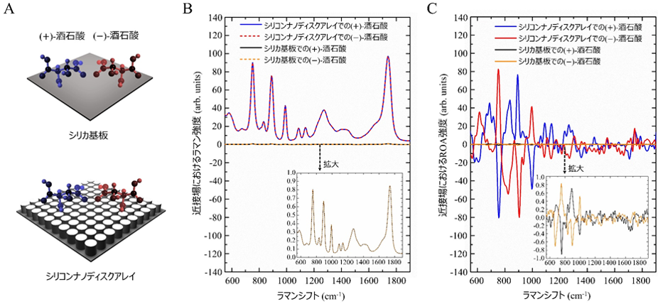 生体キラル分子を用いた全誘電体のキラル場増強ROA分光法の実証