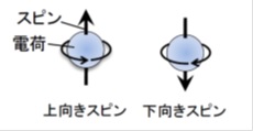 電子スピンの模式図