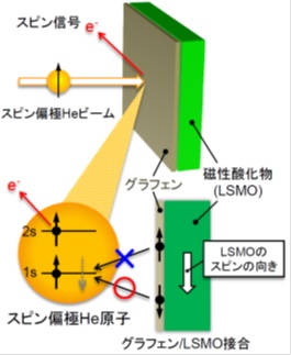 スピン偏極ヘリウム原子ビームによるスピン検出の原理の図