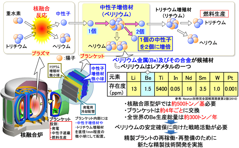 中性子増倍材の役割とベリリウムの安定確保の必要性