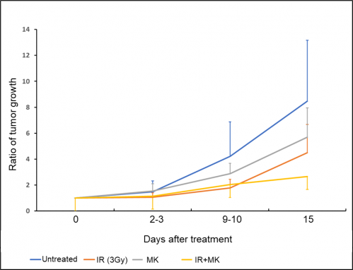 Tumor challenge study in combination with X-ray and G2 checkpoint inhibitor