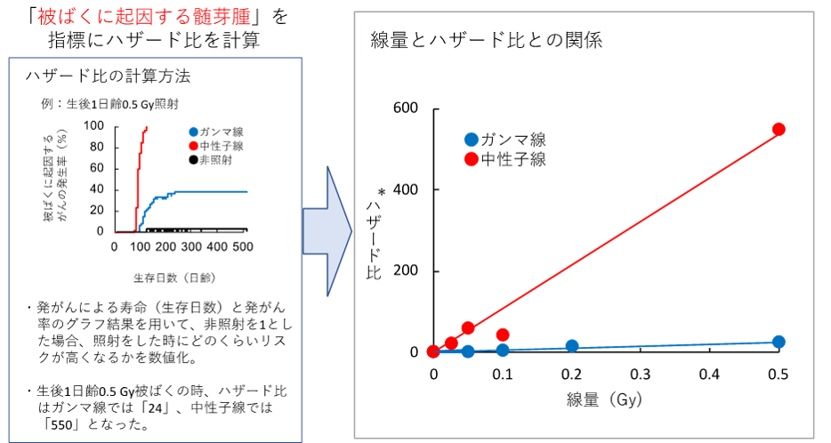 「被ばくに起因した髄芽腫」の線量とリスクの関係