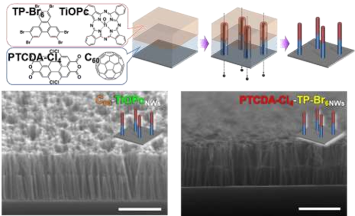 機能性有機分子としてよく知られているフタロシアニン/フラーレン分子とペリレン酸無水物/トリフェニレン分子を積み重ねてナノワイヤーを形成した例．