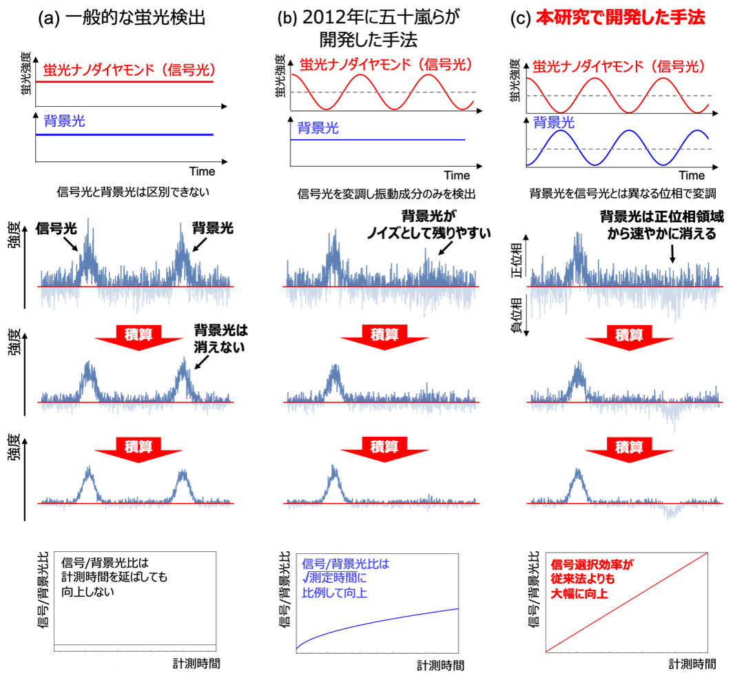 従来法と本研究で開発した手法との比較