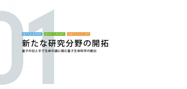 01新たな研究分野の開拓