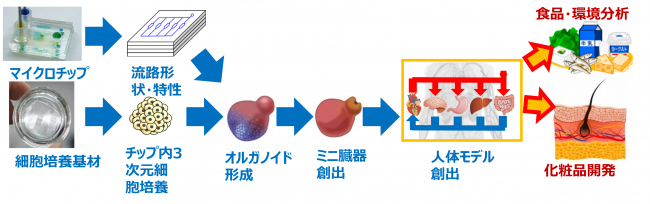 内容
