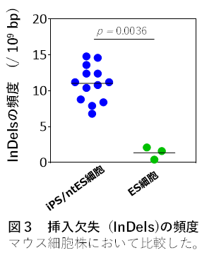 挿入欠失の頻度