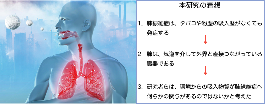 本研究の着想