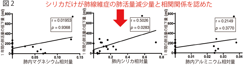 肺内のシリカの量が多い患者さんは、肺線維症の進行が早い