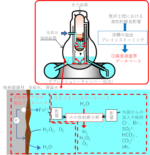 放射線環境下にある1F格納容器材の腐食模式図と放射線環境下での腐食データベースの概要