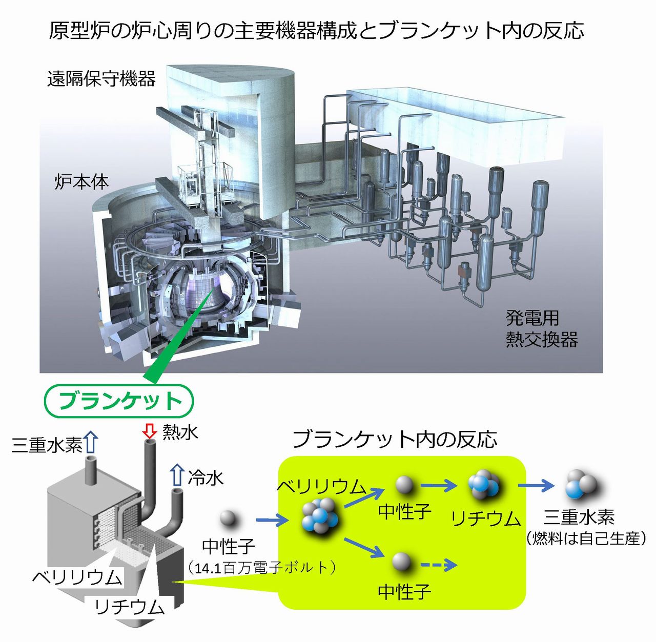 核融合発電 第17回 画像