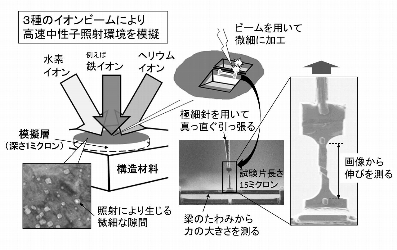 核融合発電 第19回 画像