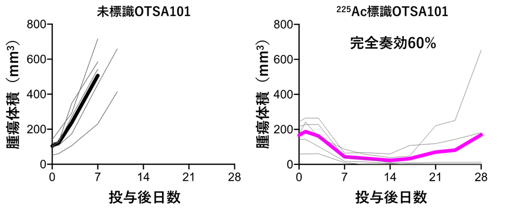 治療効果