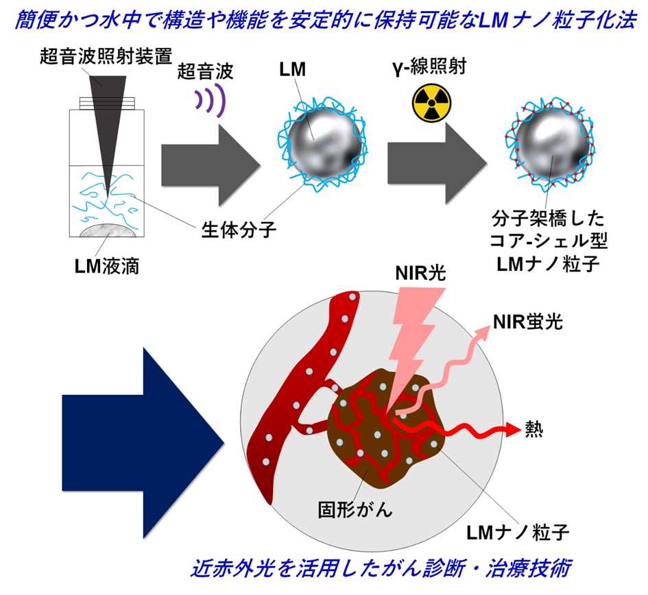 ガンマ線を利用した生体分子-液体金属ナノ複合体の合成と当該ナノ粒子を 活用した光がん療法の概念