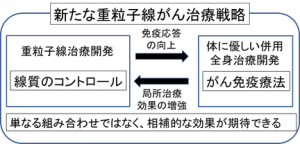 新たな重粒子線治療戦略概要