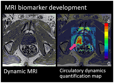 Applied MRI Research and Diagnostic Imaging1