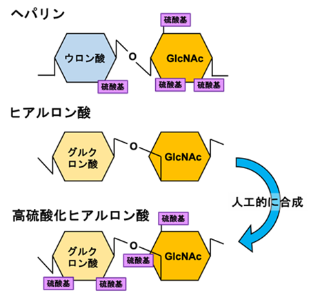 ヘパリン・ヒアルロン酸・高硫酸化 ヒアルロン酸の構造