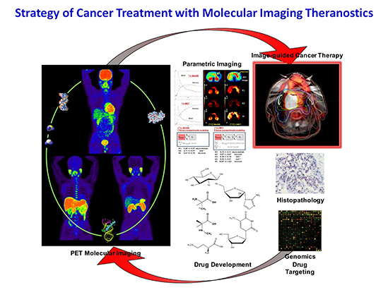 Clinical Research and Development of New Targeted Radionuclide Therapies (TRT) photo