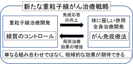 図・写真