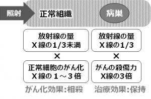 炭素イオン線の正常組織への線量とがん化効果