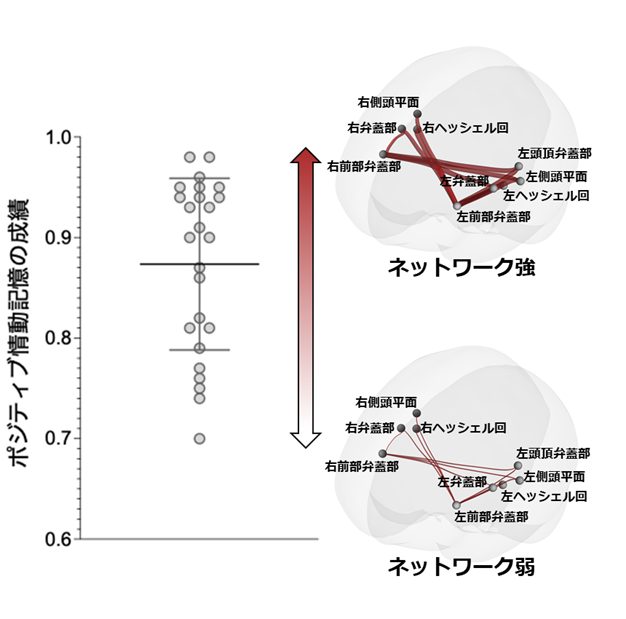 図4ポジティブ画像の記憶成績の個人差と関連する脳機能ネットワーク