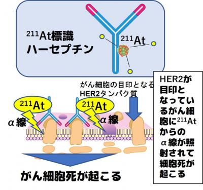 図・写真