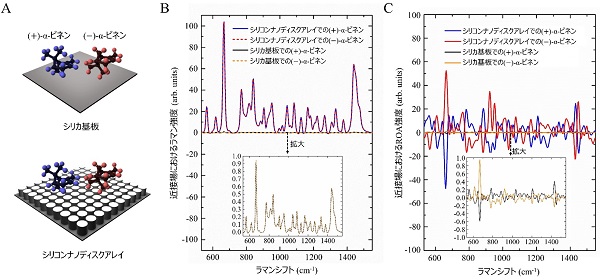 図3　キラル分子を用いた全誘電体のキラル場増強ROA分光法の実証