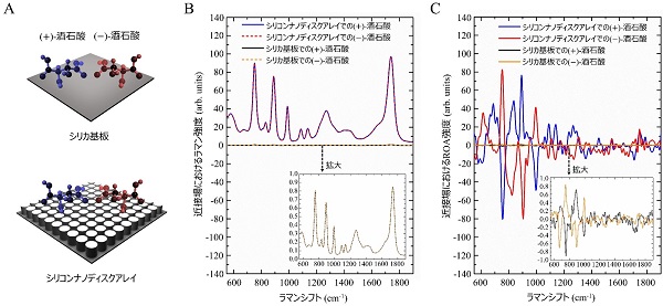 図4　生体キラル分子を用いた全誘電体のキラル場増強ROA分光法の実証