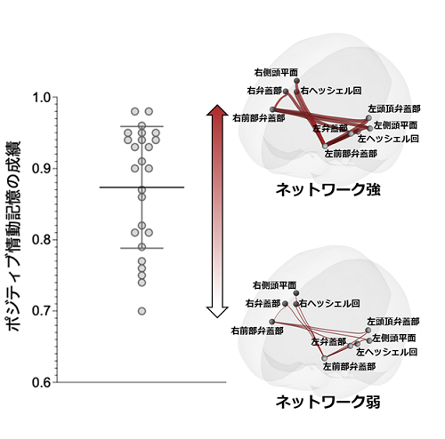 図4　ポジティブ画像の記憶成績の個人差と関連する脳機能ネットワーク